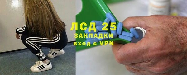 трава Слюдянка