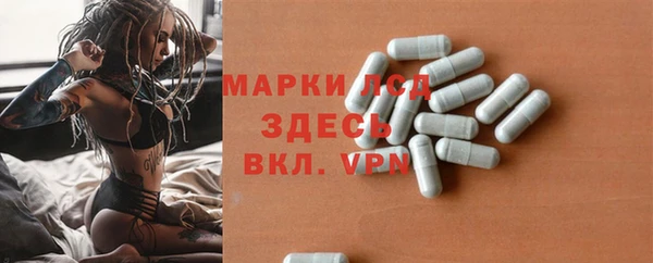 ГАЛЛЮЦИНОГЕННЫЕ ГРИБЫ Козельск