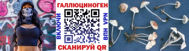 продажа наркотиков  Цимлянск  Псилоцибиновые грибы ЛСД 