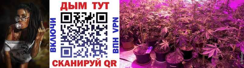 Марихуана Bruce Banner Цимлянск
